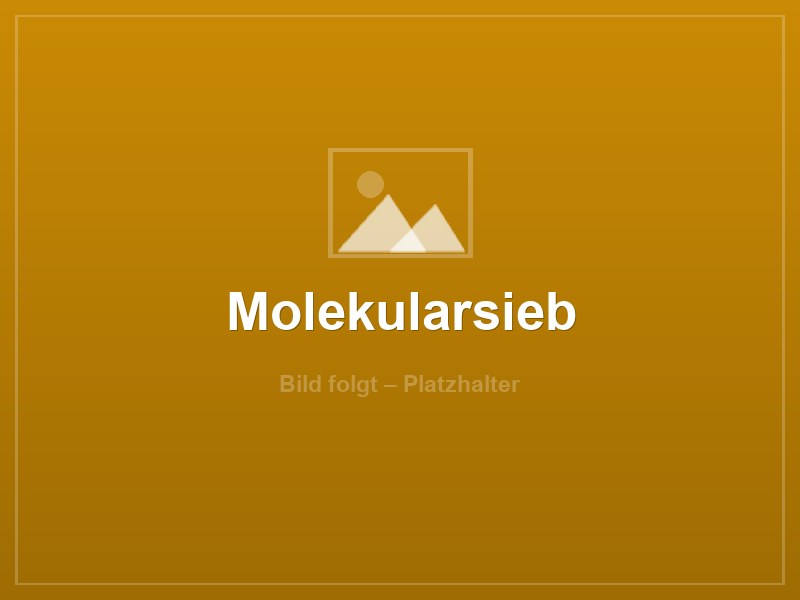 Molekularsieb